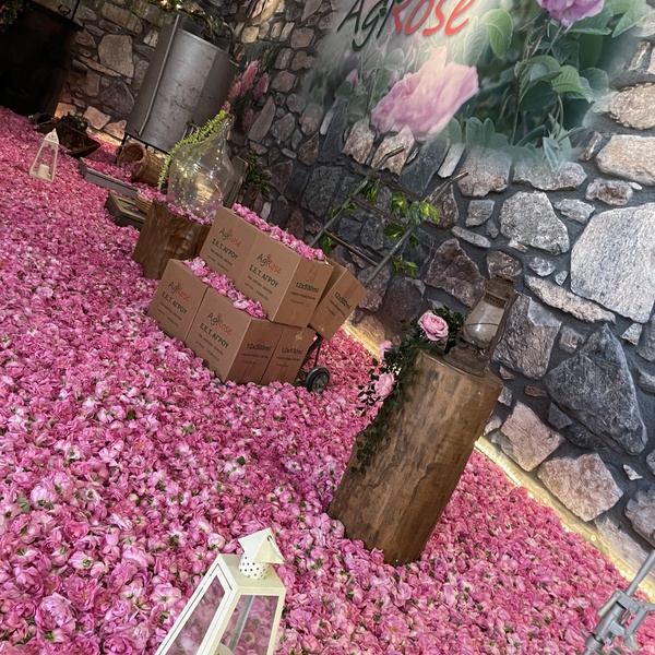 Rose Festival 2022