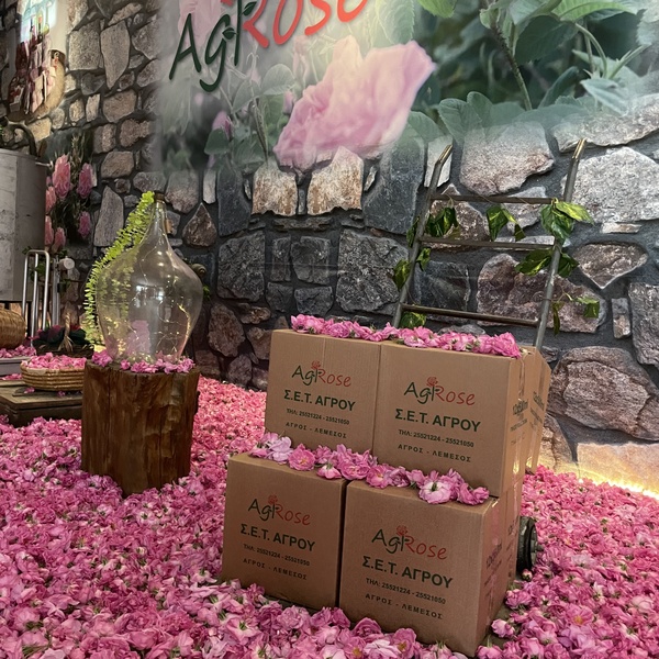 Rose Festival 2022