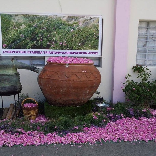 Rose Festival 2021