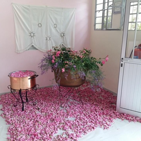 Rose Festival 2021