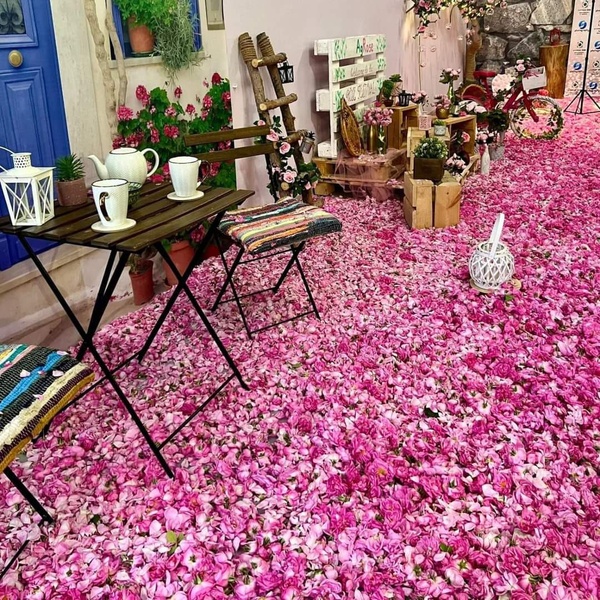 Rose Festival 2024