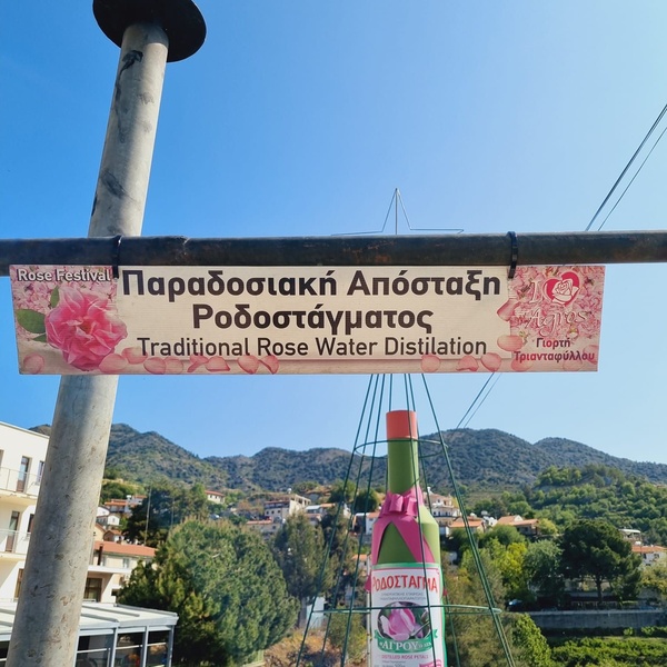 Rose Festival 2023