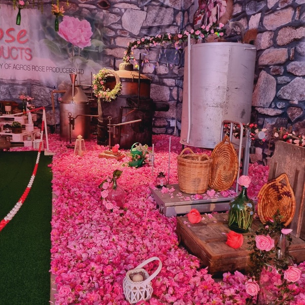 Rose Festival 2023